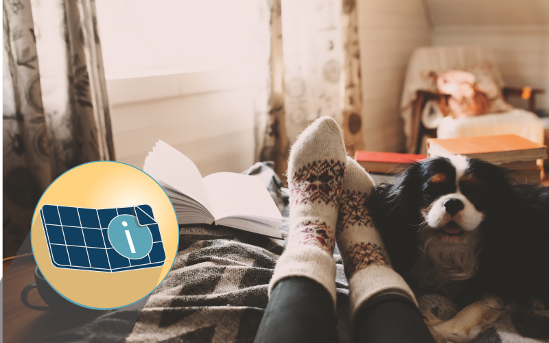 5 Ways to Save Energy During the Holidays