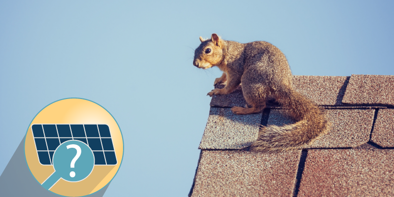 Do I need snow & critter guards for my solar panels?
