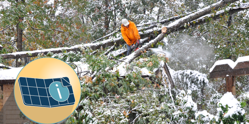 Are Solar Panels Covered by Home Insurance?
