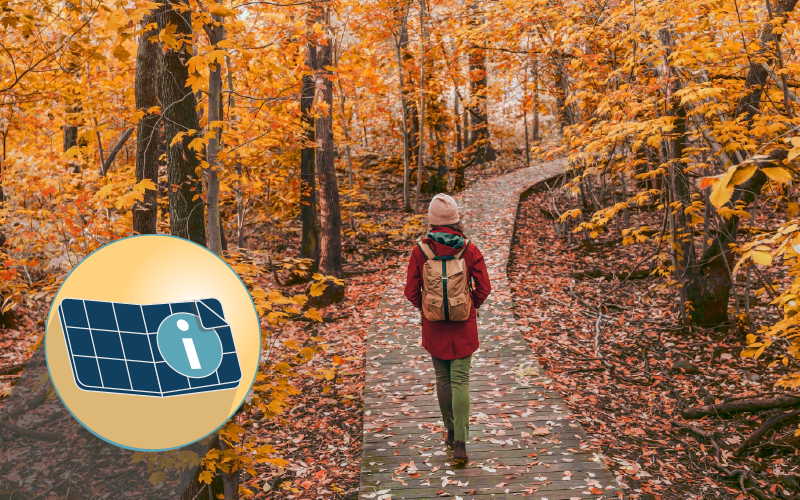 The Best Views of Fall Foliage in New England