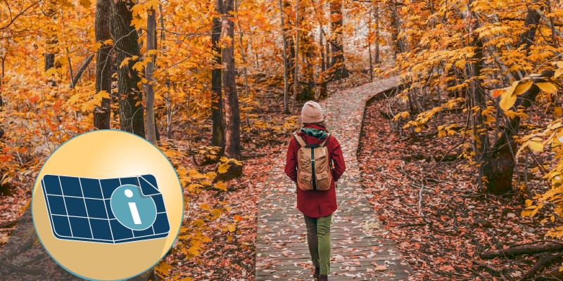 The Best Views of Fall Foliage in New England