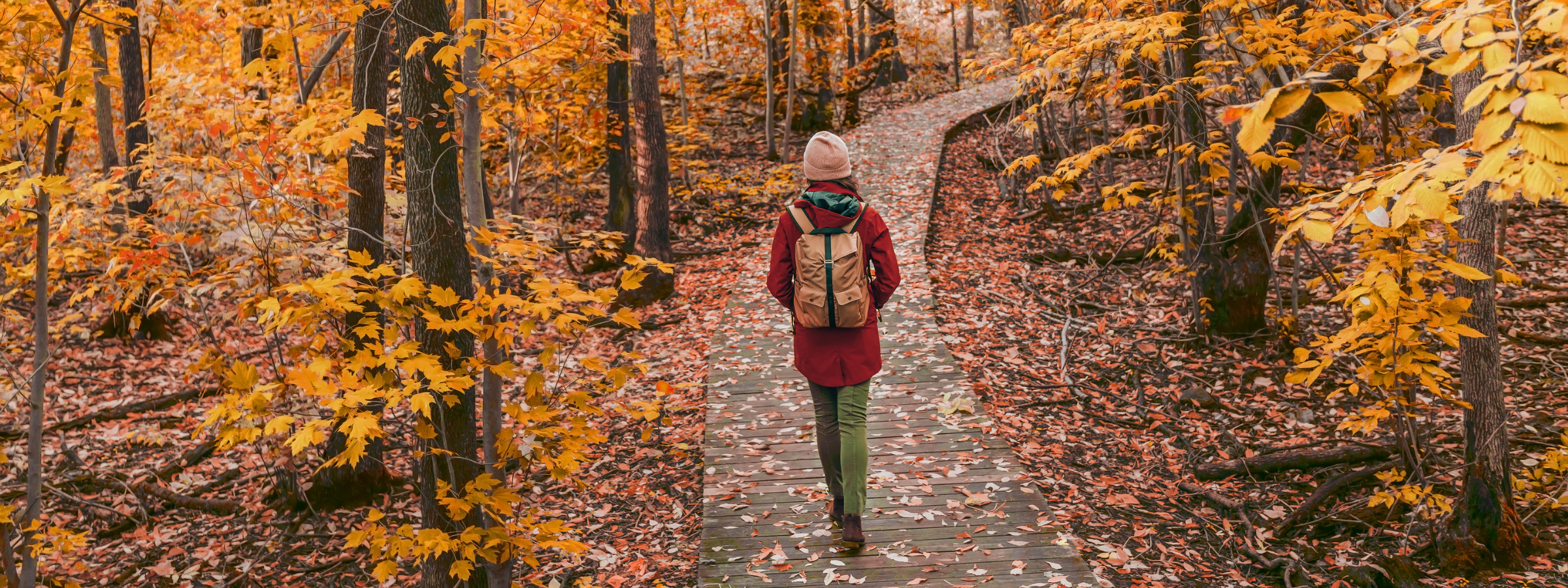 The Best Views of Fall Foliage in New England