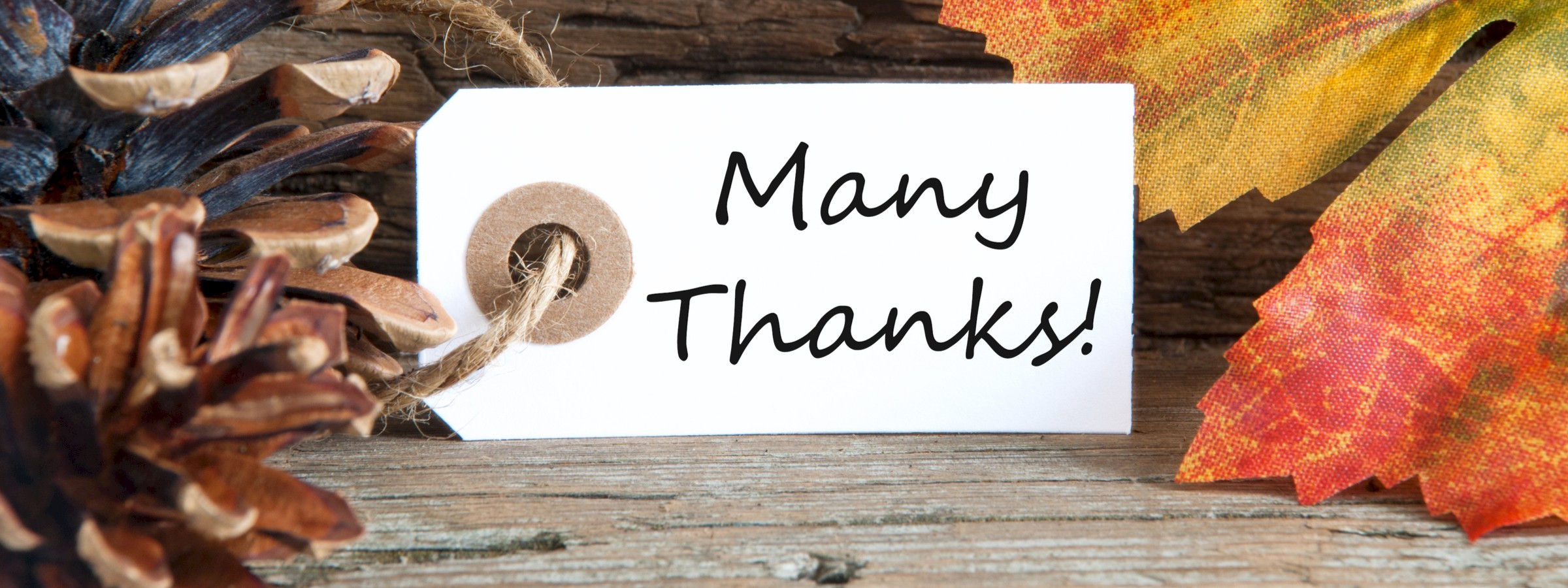 5 Reasons Why We're Thankful For Solar Energy