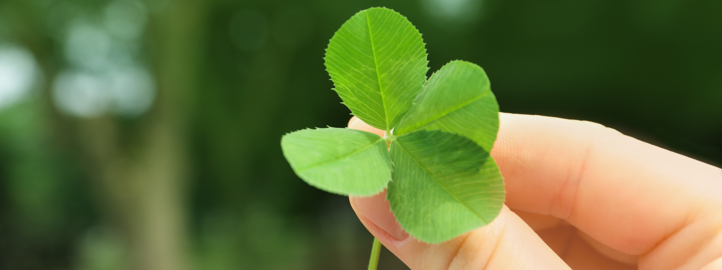 5 Green Facts About Solar For St. Patrick's Day